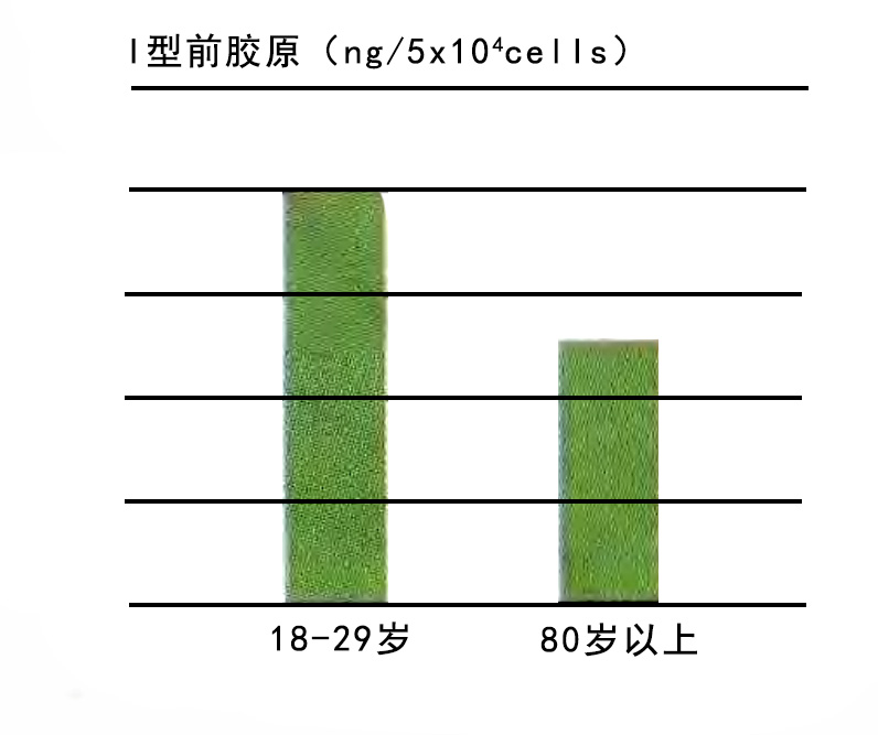 纖維芽細(xì)胞的膠原蛋白制造能力隨年齡增加而衰退