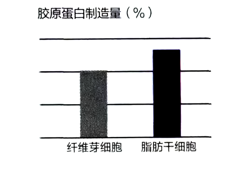 脂肪干細(xì)胞擁有和纖維芽細(xì)胞同等的膠原蛋白制造能力