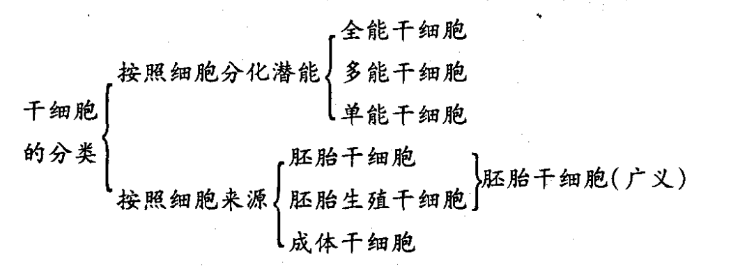 干細胞分類：干細胞如何劃分