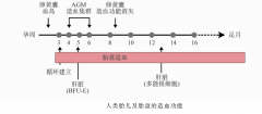 胎盤造血干細(xì)胞來源與特性